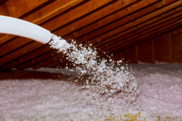 Best Home Insulation Services  in Kermit, TX