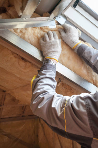 Best Spray Foam Insulation  in Kermit, TX