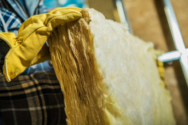 Best Spray Foam Insulation  in Kermit, TX