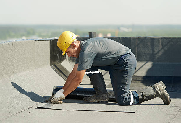 Best Insulation Repair Services  in Kermit, TX