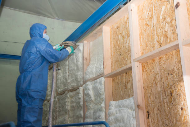 Best Fiberglass Insulation  in Kermit, TX