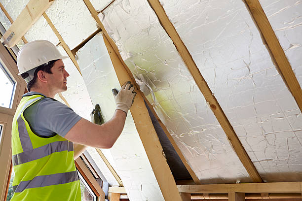 Best Home Insulation Services  in Kermit, TX