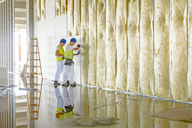 Best Commercial Insulation Contractor  in Kermit, TX
